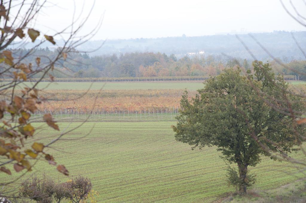 Agriturismo Il Vecchio Portico Francavilla Bisio Exteriör bild